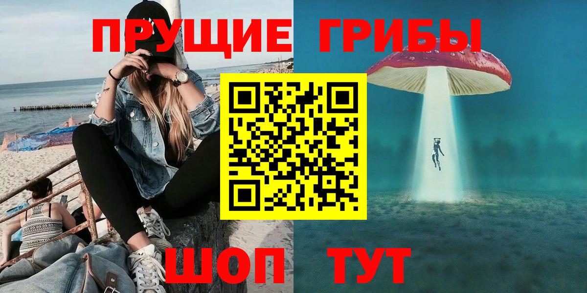 где можно купить   Вход с VPN  Кириши  Псилоцибиновые грибы Psilocybine cubensis 